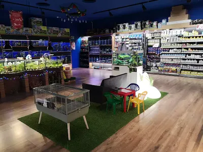 King Zoo Sklep ze zwierzętami